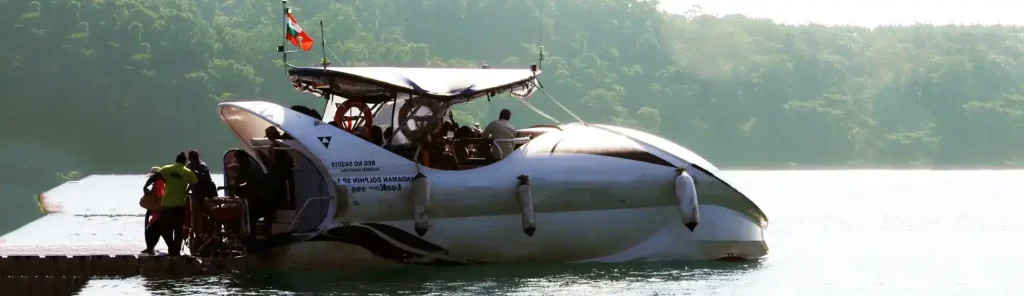 Dolphin Boat Ride in North Bay Island