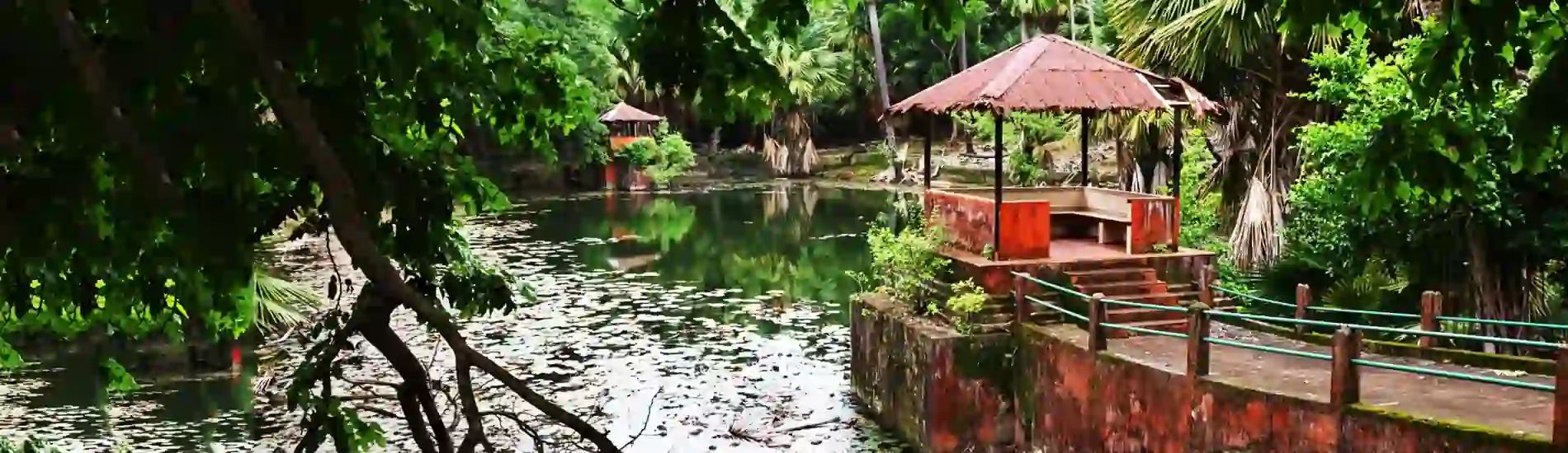 Ross Island Nature Walks