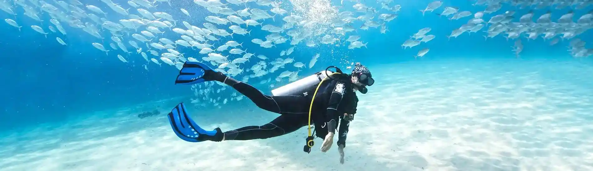Scuba Diving in North Bay Island
