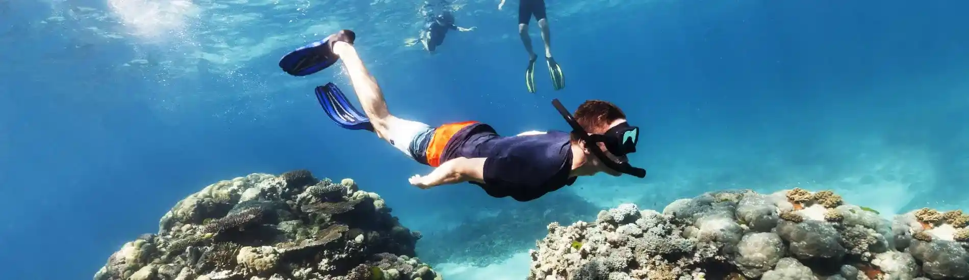 Snorkeling in North Bay Island